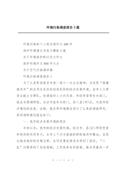 环境污染调查报告5篇.docx