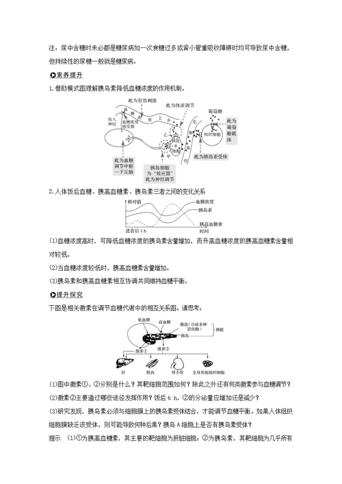 （鲁京津琼）2020版高考生物总复习第24讲体液调节及其与神经调节的关系教案