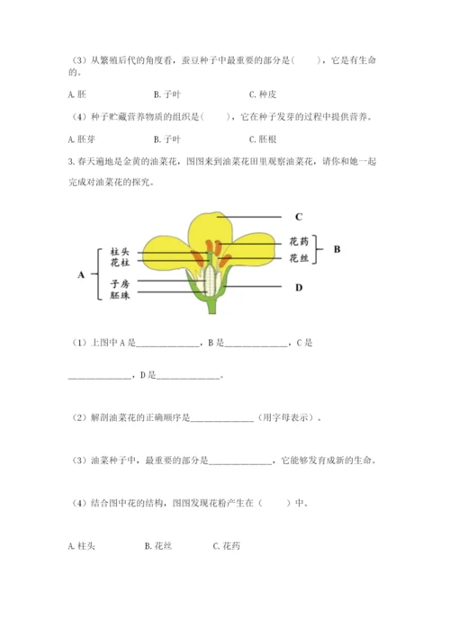 科学四年级下册第一单元《植物的生长变化》测试卷附答案（考试直接用）.docx