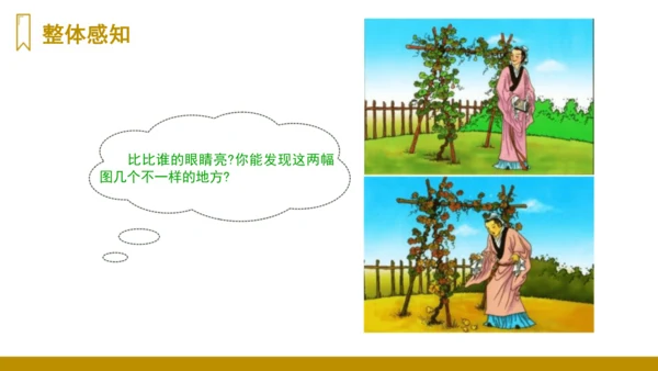 第14课《我要的是葫芦》（课件）