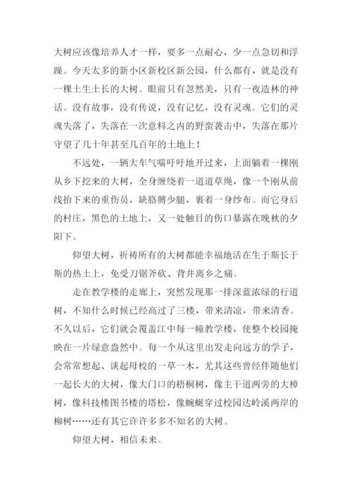 仰望大树作文1000字.docx