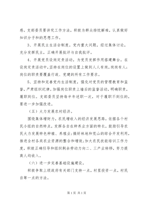 XX年度农村党支部工作计划范文.docx