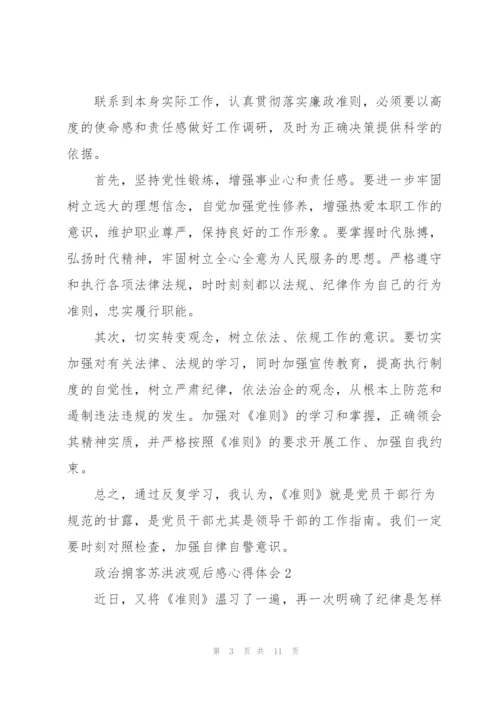 政治掮客苏洪波观后感心得体会范文5篇.docx