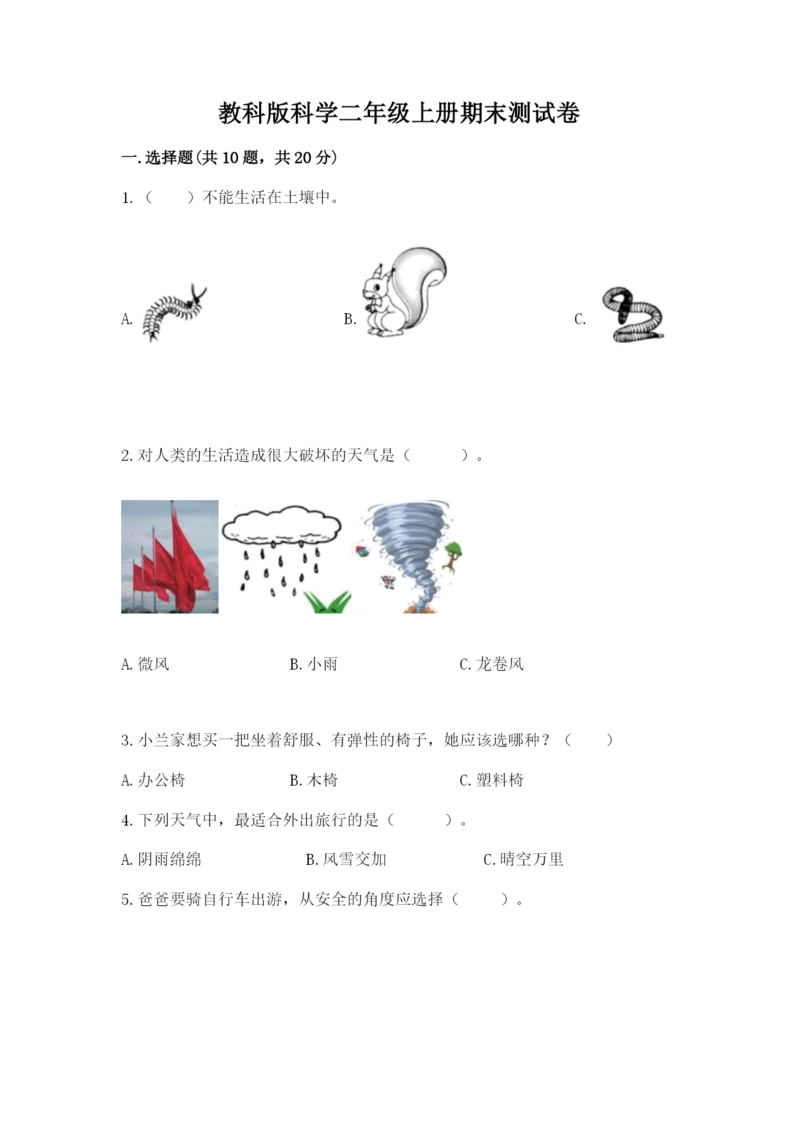 教科版科学二年级上册期末测试卷精品（名师系列）.docx