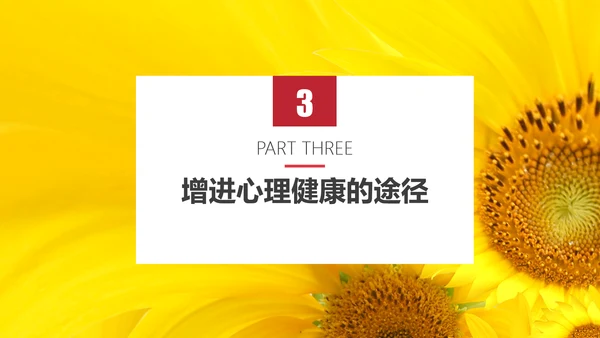 心理健康应知应会教育讲座PPT课件