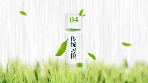 小满——禾苗青苗稻谷嫩芽通用PPT模板