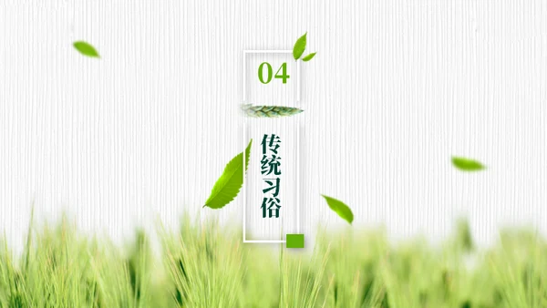 小满——禾苗青苗稻谷嫩芽通用PPT模板