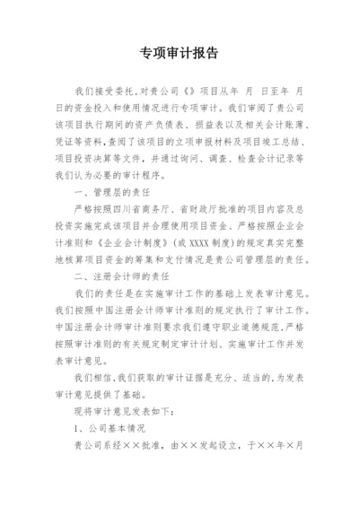 专项审计报告_12.docx