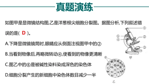 七上 第二单元生物体的结构层次-复习课件(共35张PPT)