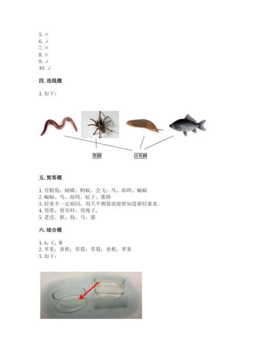 教科版一年级下册科学期末测试卷带答案解析.docx