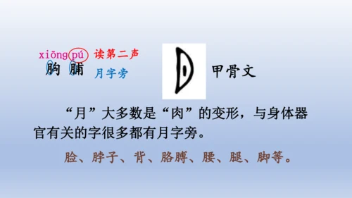【同步课件】部编版语文三年级上册  25.灰雀（2课时）