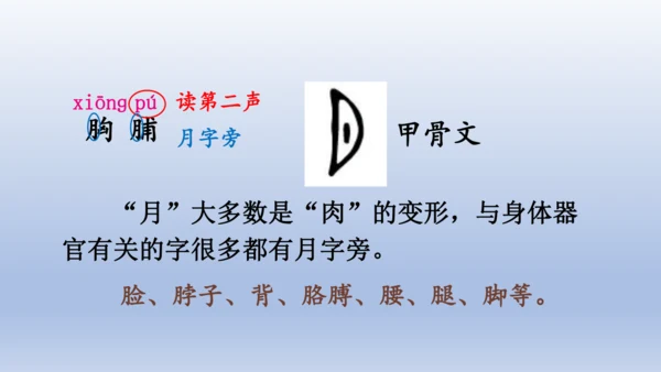 【同步课件】部编版语文三年级上册  25.灰雀（2课时）