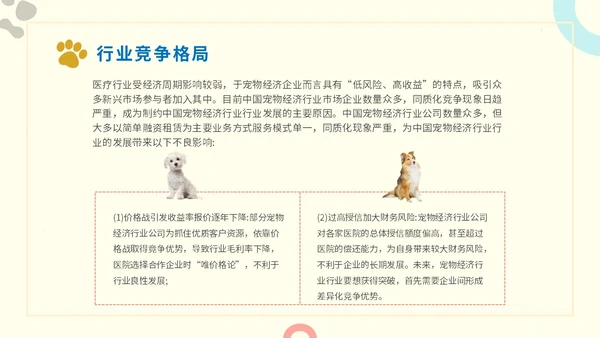简约实图狗宠物经济行业前景分析报告汇报模板