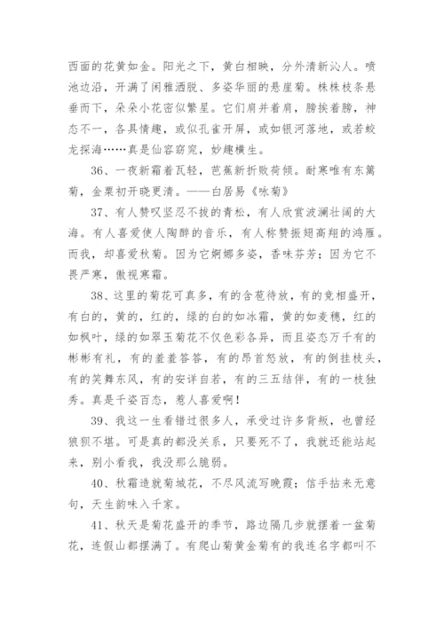 写菊花的优美句子.docx