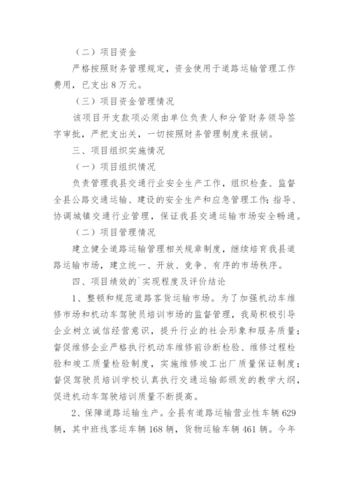 项目绩效评价报告.docx