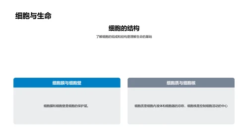 细胞结构功能教学PPT模板