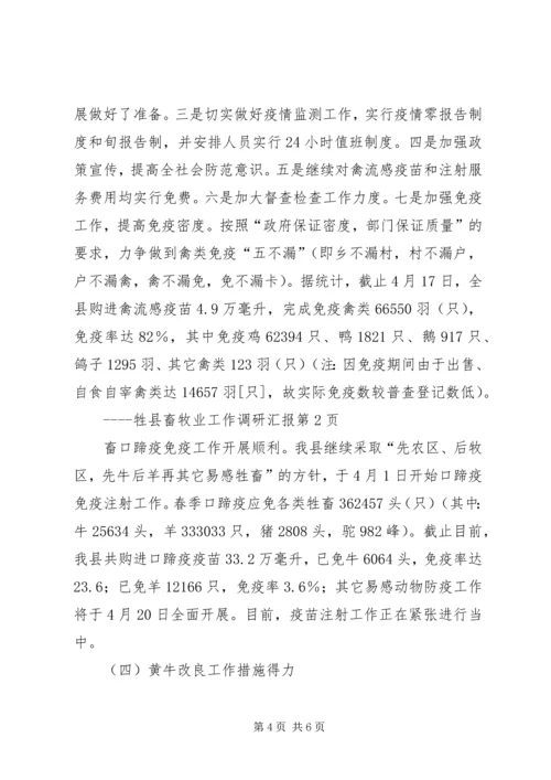 县畜牧业工作调研汇报 (2).docx