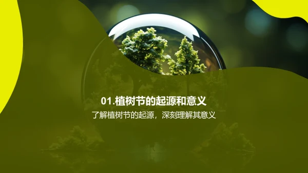 植树与环保行动