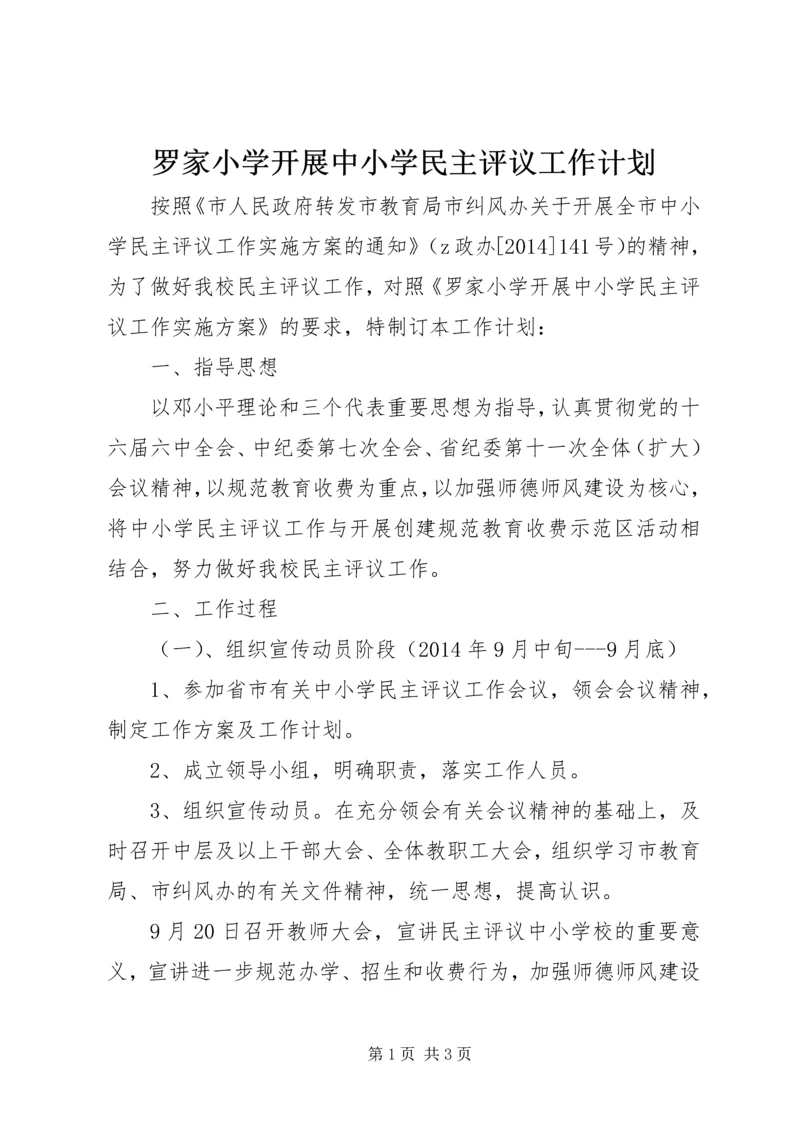 罗家小学开展中小学民主评议工作计划.docx