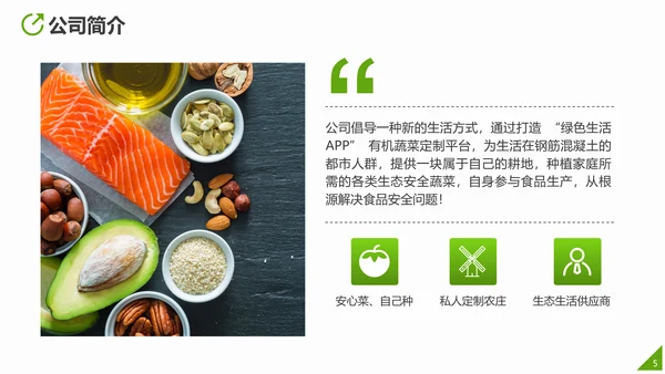 互联网运营推广方案PPT模板