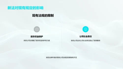 公司法解读报告