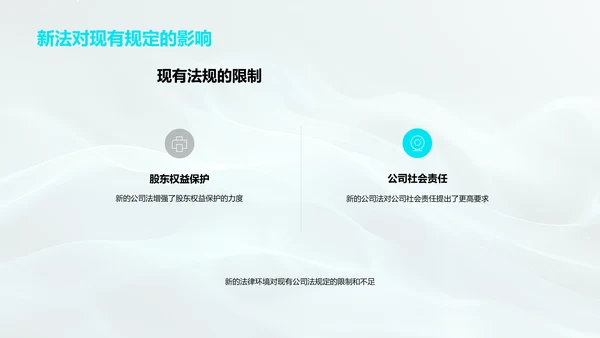 公司法解读报告