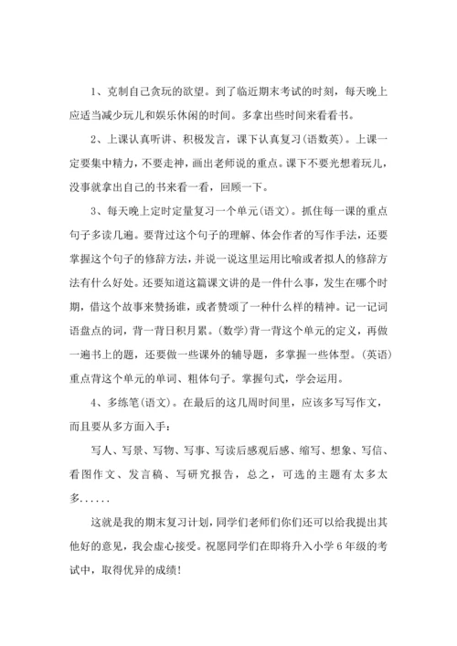 语文考试学习计划.docx