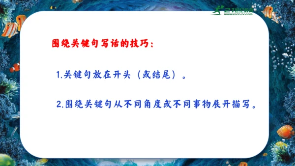18.富饶的西沙群岛  课件