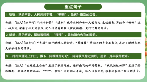 统编版2024三年级语文上册第二单元复习   课件