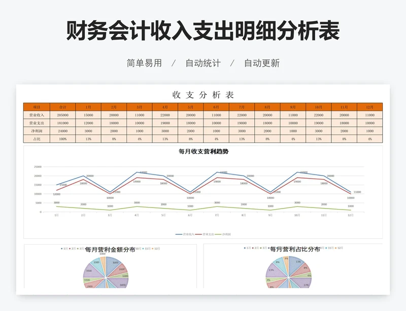 财务会计收入支出明细分析表