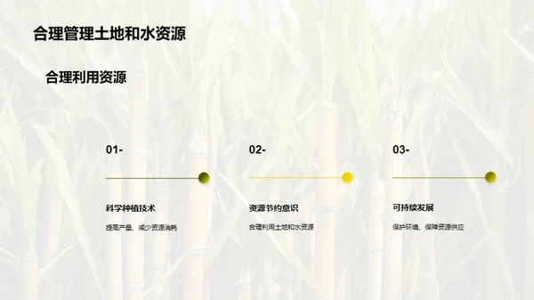 糖料生态化种植