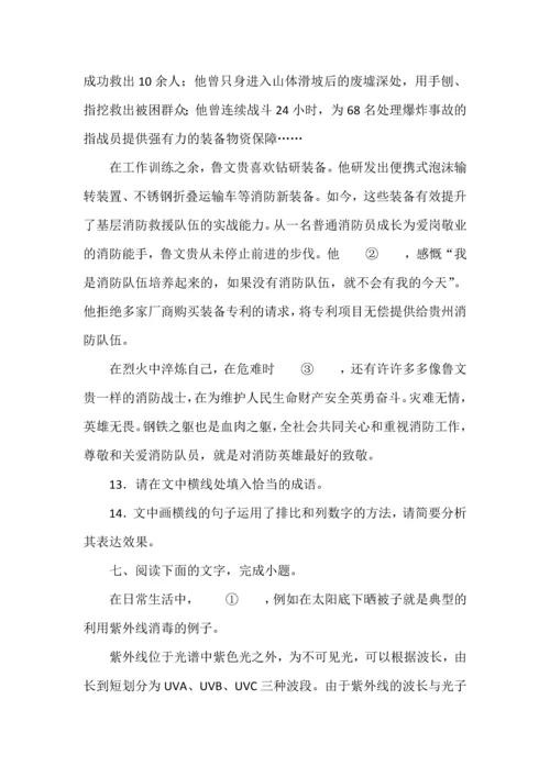 高考语文一轮复习之语言文字运用题30种题型归纳.docx