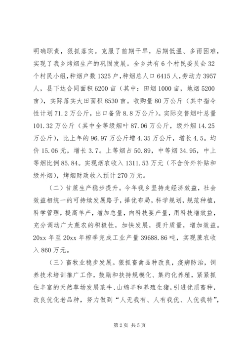 乡镇工作总结和工作意见.docx