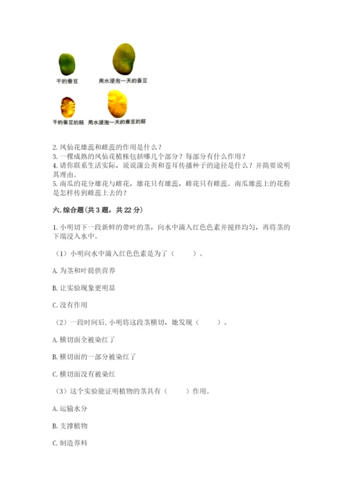 教科版四年级下册科学第一单元《植物的生长变化》测试卷【word】.docx