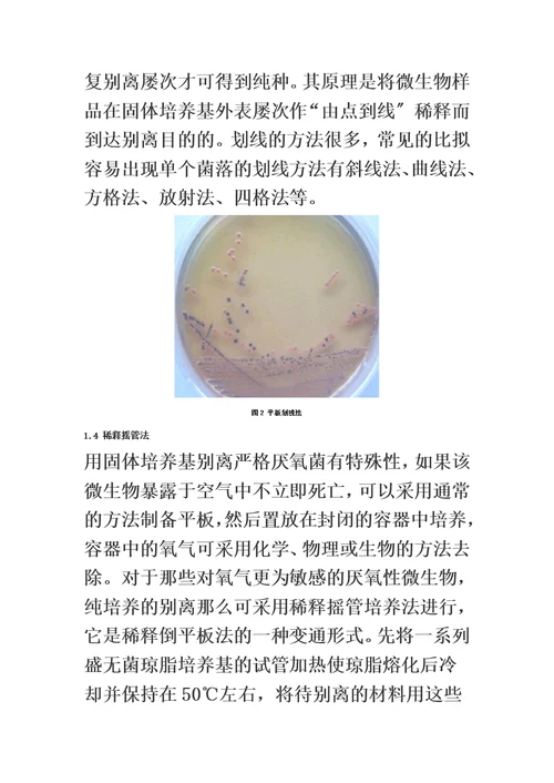 最新微生物菌种的分离和纯化方法