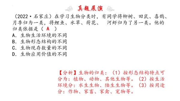 1.1 认识生物 2023-2024学年七年级生物上学期期末考点大串讲（人教版）(共19张PPT)
