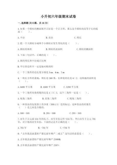 小升初六年级期末试卷【考点精练】.docx