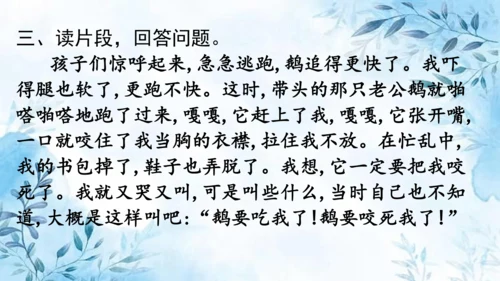 部编版语文四年级上册第六单元复习课件