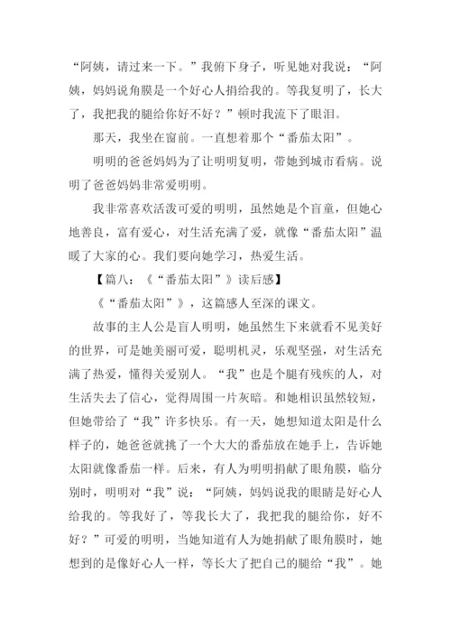 番茄太阳读后感.docx