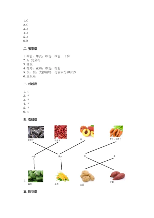 科学四年级下册第一单元植物的生长变化测试卷附参考答案（能力提升）.docx