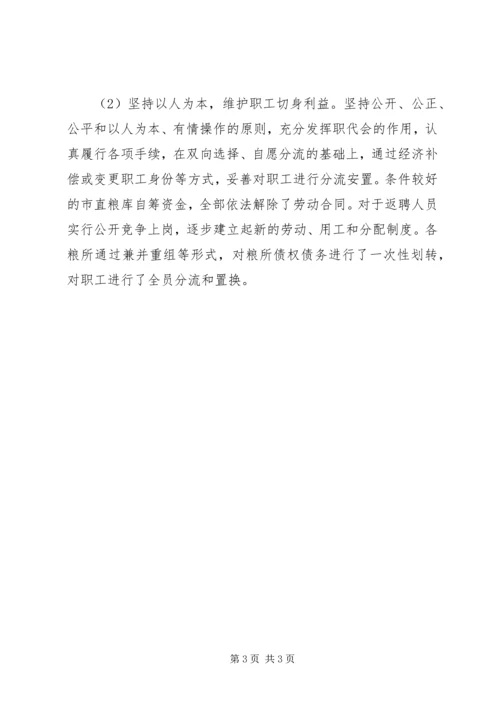 市粮食局工作总结及工作计划范文.docx
