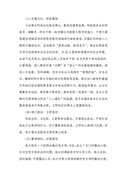 2022年年度扫黑除恶工作总结