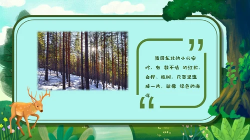 《美丽的小兴安岭》通用PPT课件模板