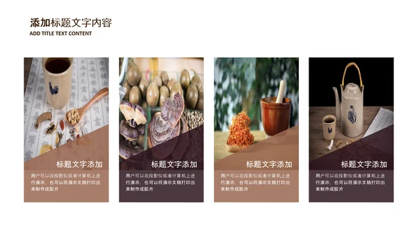 中医学养生保健医院中医文化中草药PPT