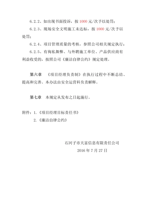 项目经理负责制管理办法.docx