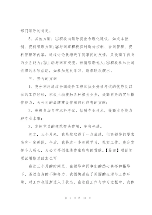 项目管理试用期总结怎么写.docx