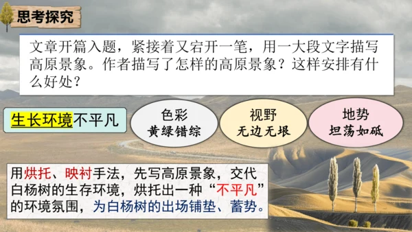 15 白杨礼赞 课件