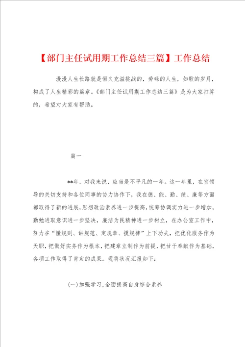 部门主任试用期工作总结三篇工作总结