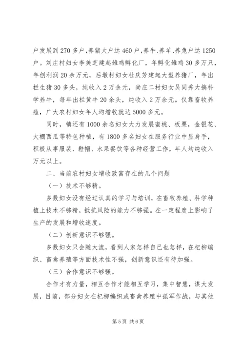 妇联增收致富调查工作汇报.docx