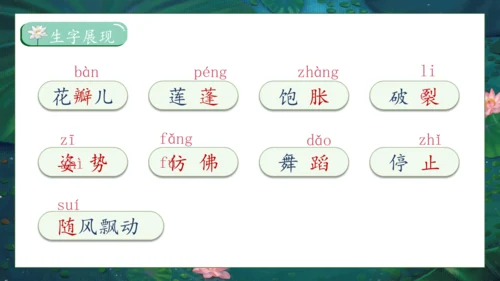 【核心素养】部编版语文三年级下册-3. 荷花 第1课时（课件）